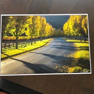 13X19” signed inkjet print